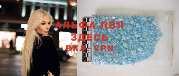 спиды Пересвет