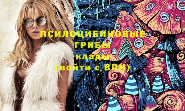 бошки Алзамай