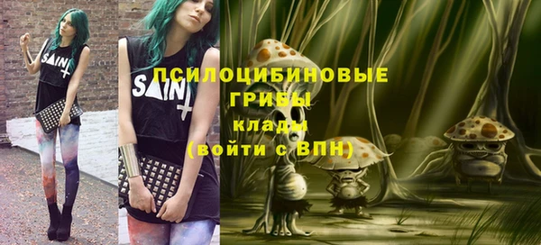 бошки Алзамай