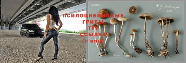 бошки Алзамай