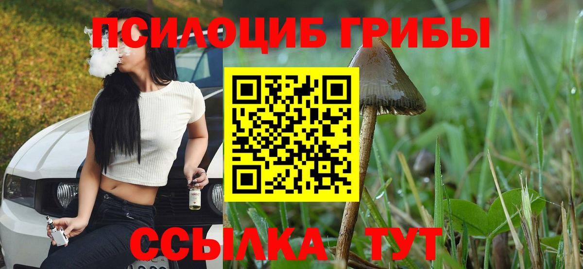 Псилоцибиновые грибы Magic Shrooms  Вход с VPN  Нефтекумск 